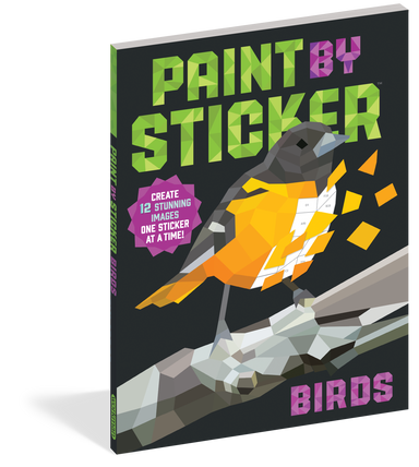 Paint By Sticker - Birds    
