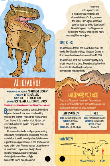 Dinosaurs: Fascinating Lunch Box Notes for Kids! (Set of 50 Cards) - A2Z  Science & Learning Toy Store