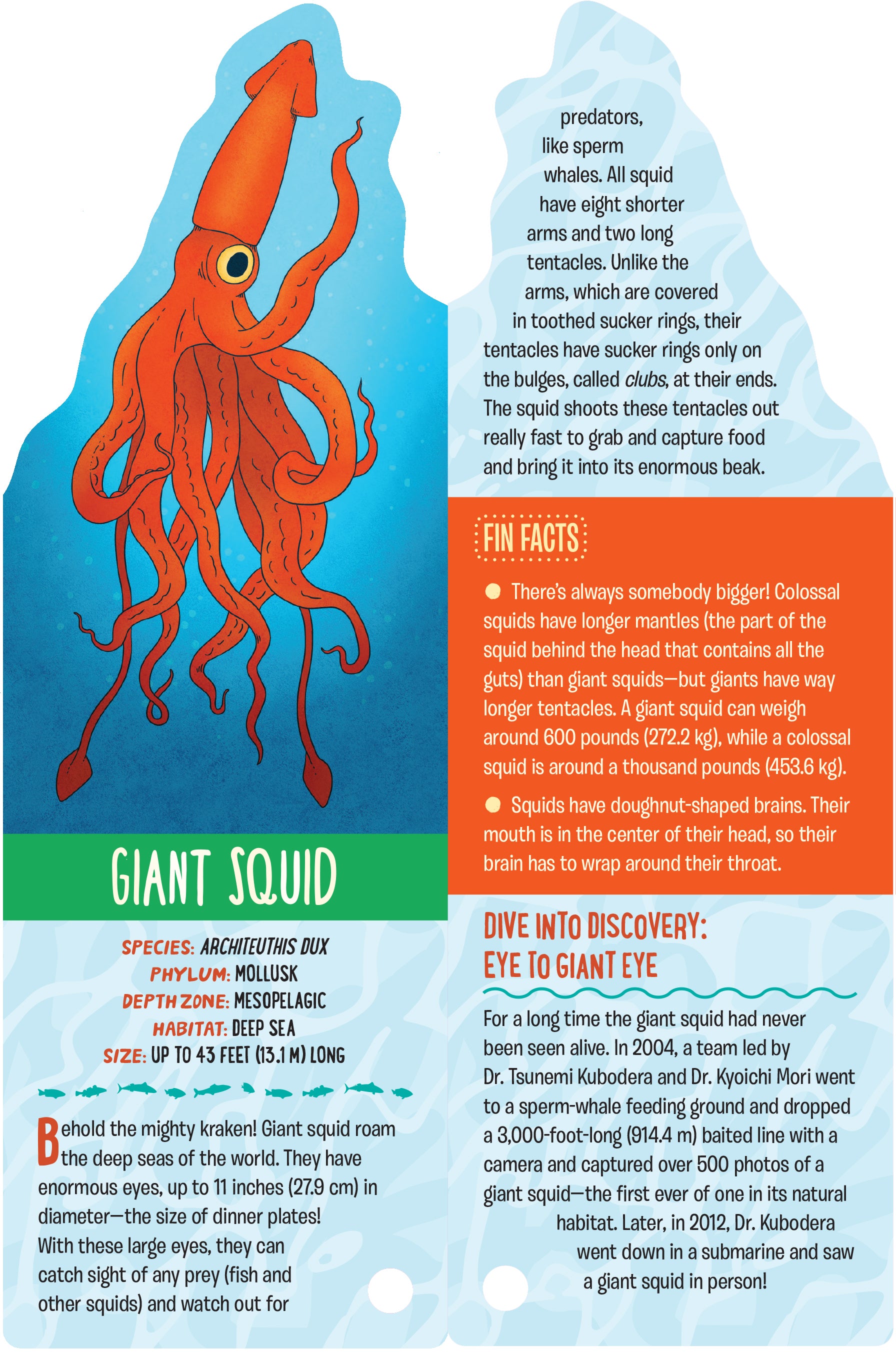 Fandex Kids: Ocean: Facts That Fit in Your Hand: 49 Sea Creatures Inside! [Book]