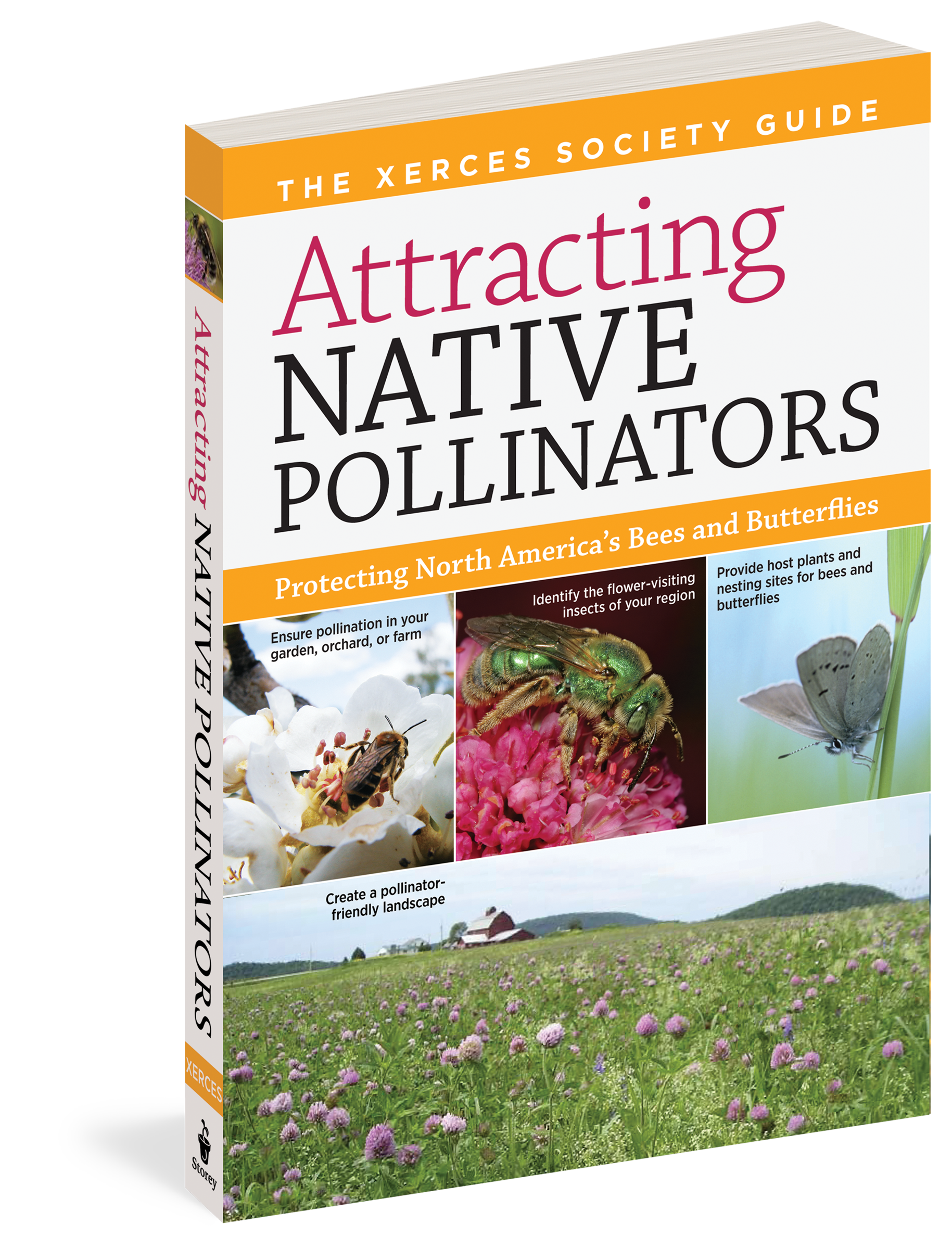 Attracting Native Pollinators    