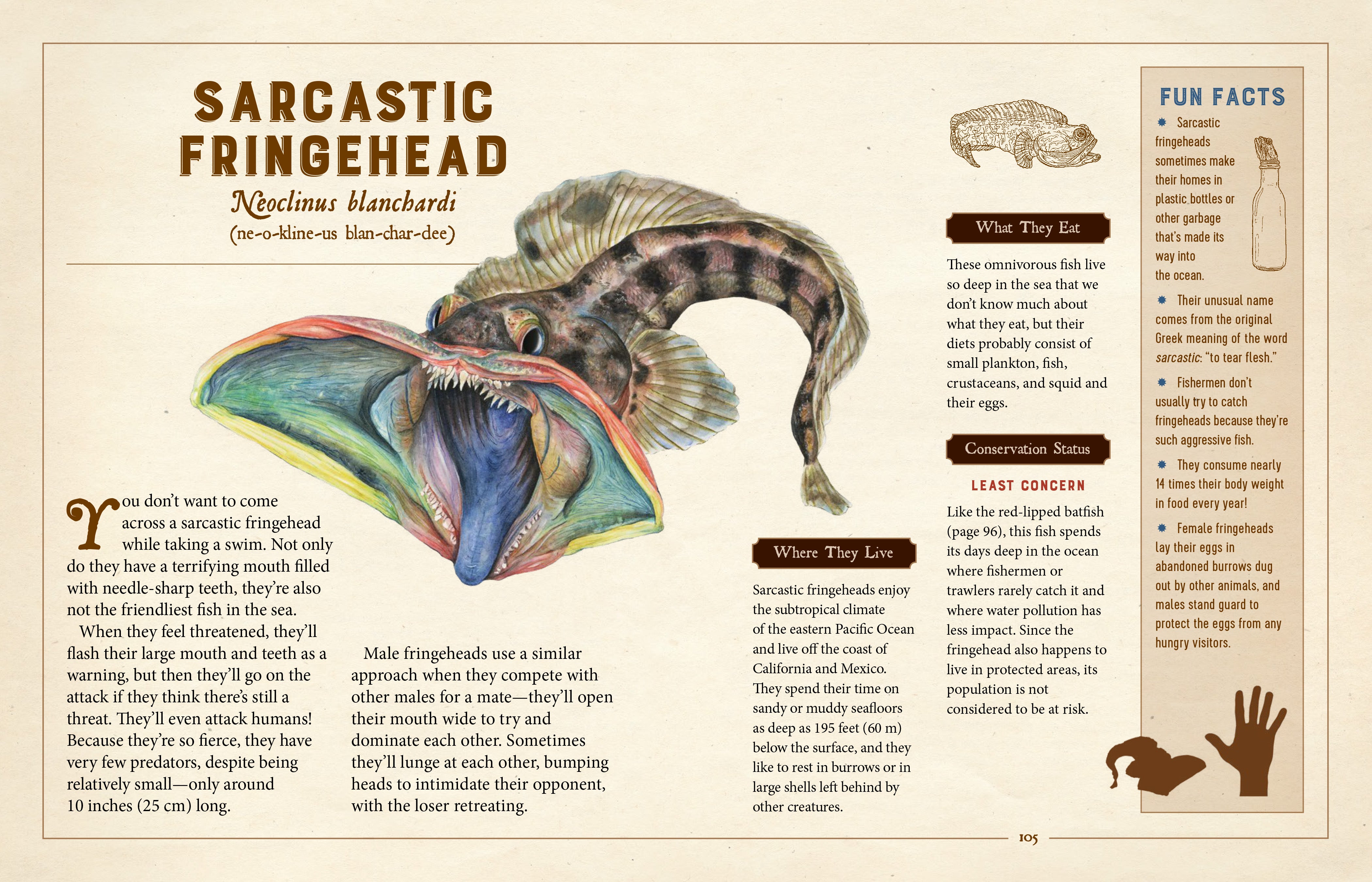 A Curious Collection of Peculiar Creatures - An Illustrated Encyclopedia    