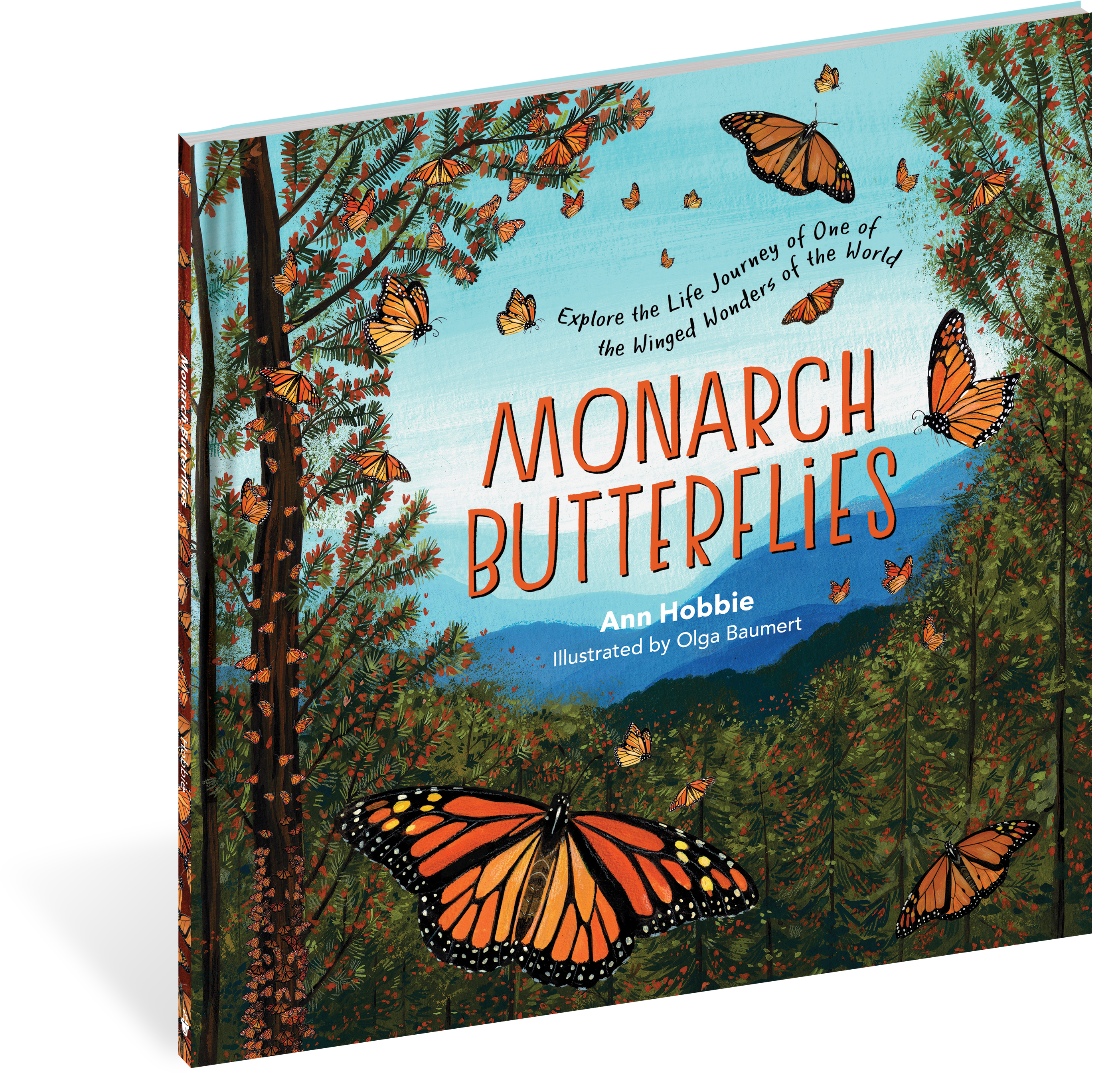 Monarch Butterflies    
