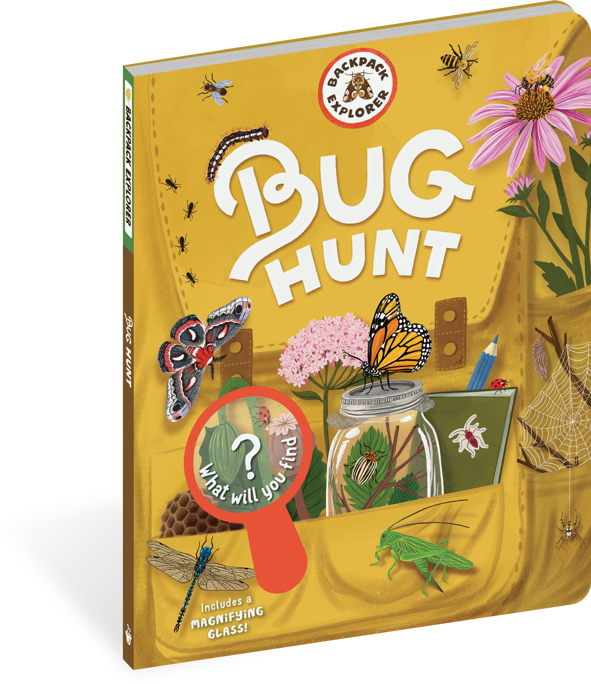 Backpack Explorer - Bug Hunt    