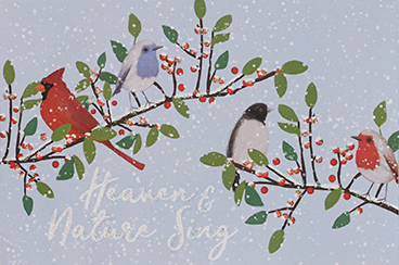 Boxed Christmas Cards - Winter Song Birds    