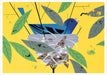 Charley Harper Nesting Instinct - Boxed Assorted Note Cards    