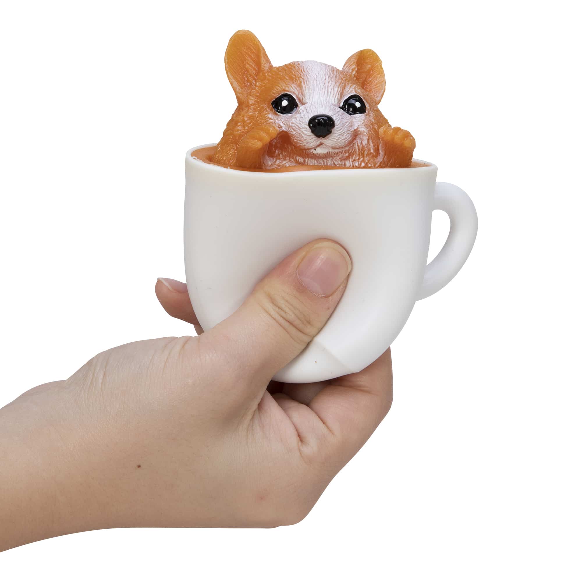 Pup In A Cup - Cocoa-Corgi, Lab-Latte, Frenchiatto or Pugachino    