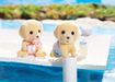 Calico Critters Yellow Labrador Twins    