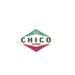 Chico Sticker - Mini - Bright Slick Valve    