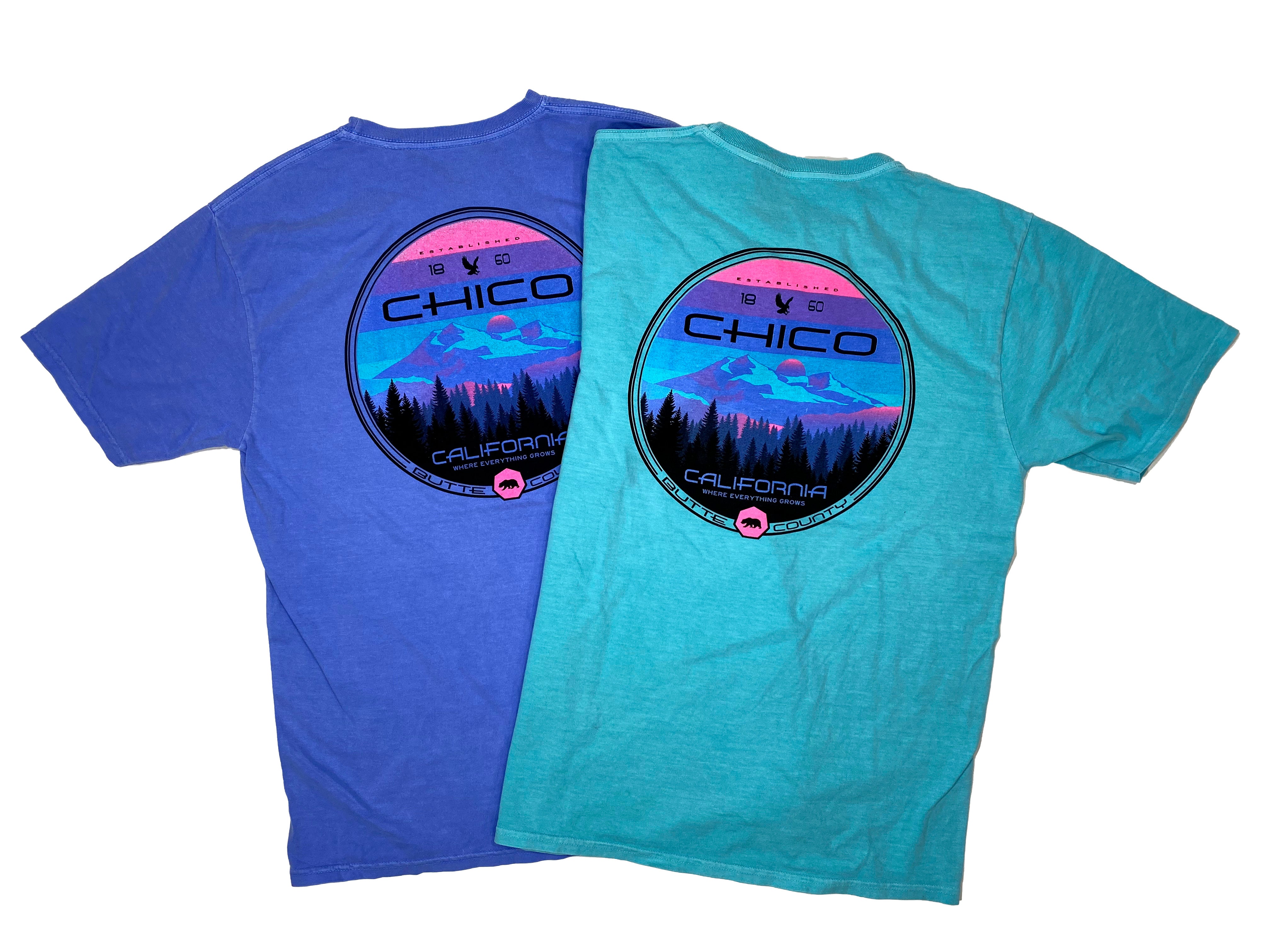 Disunion Mountain - Chico T-Shirt    
