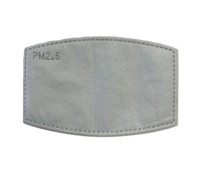 PM2.5 Activated Carbon Disposable Filters - 5 Pack    