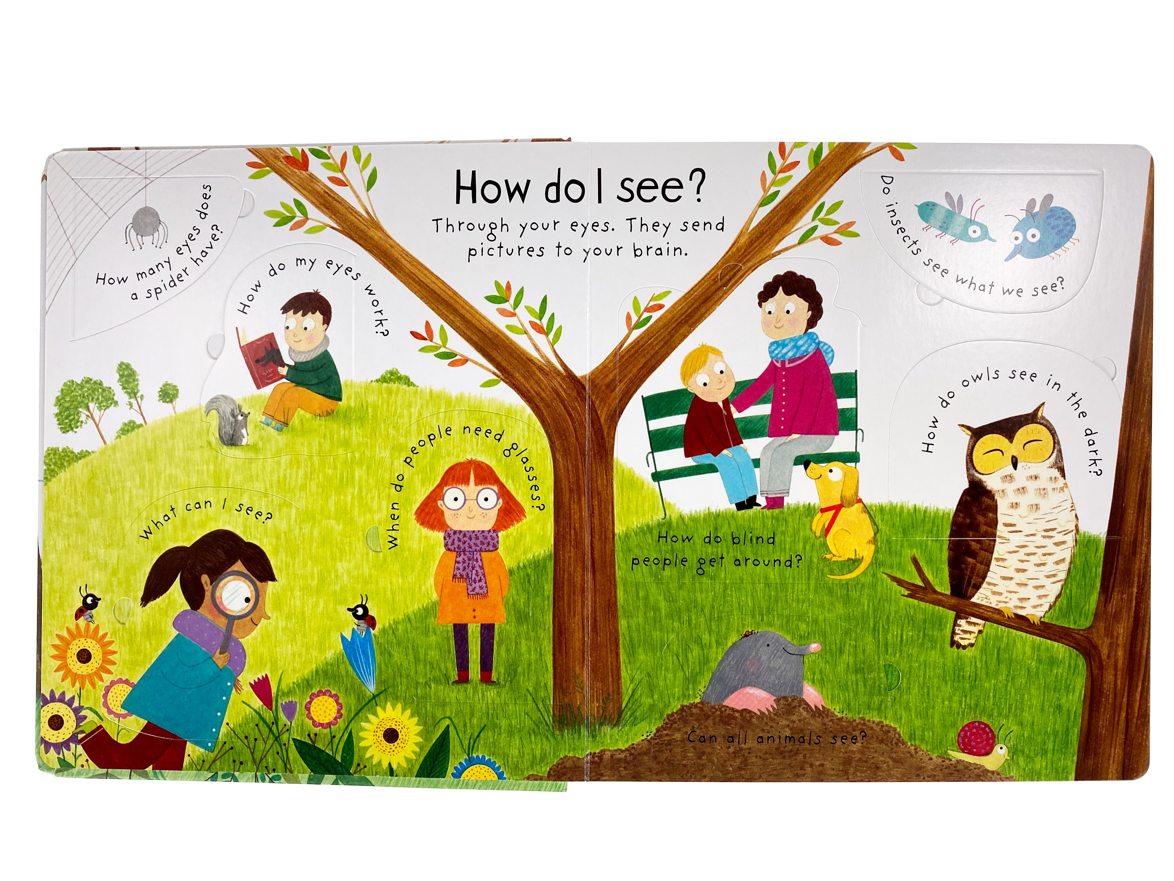 How Do I See? - Lift the Flap First Questions and Answers    