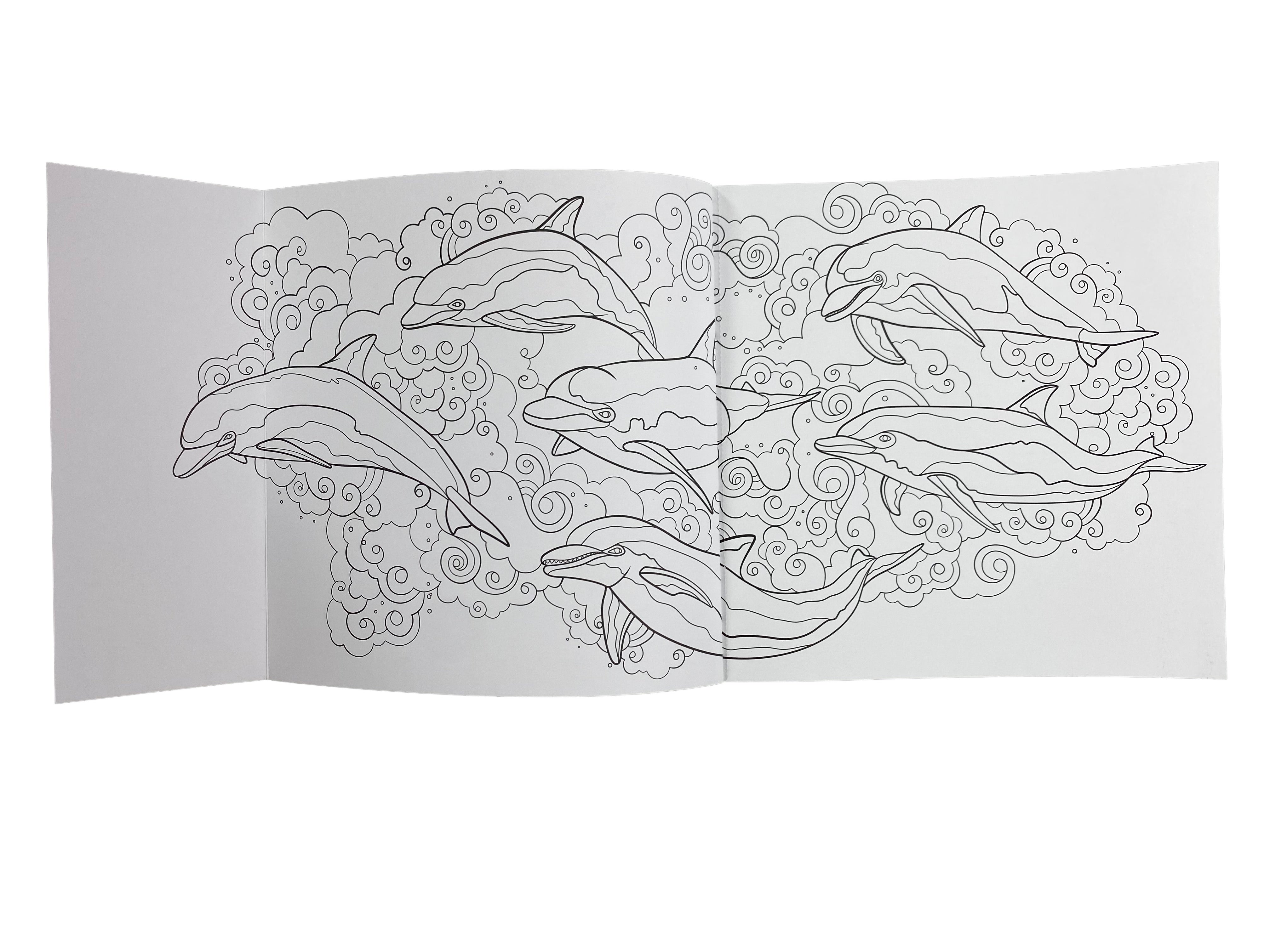 National Geographic Magnificent Ocean Coloring Book    