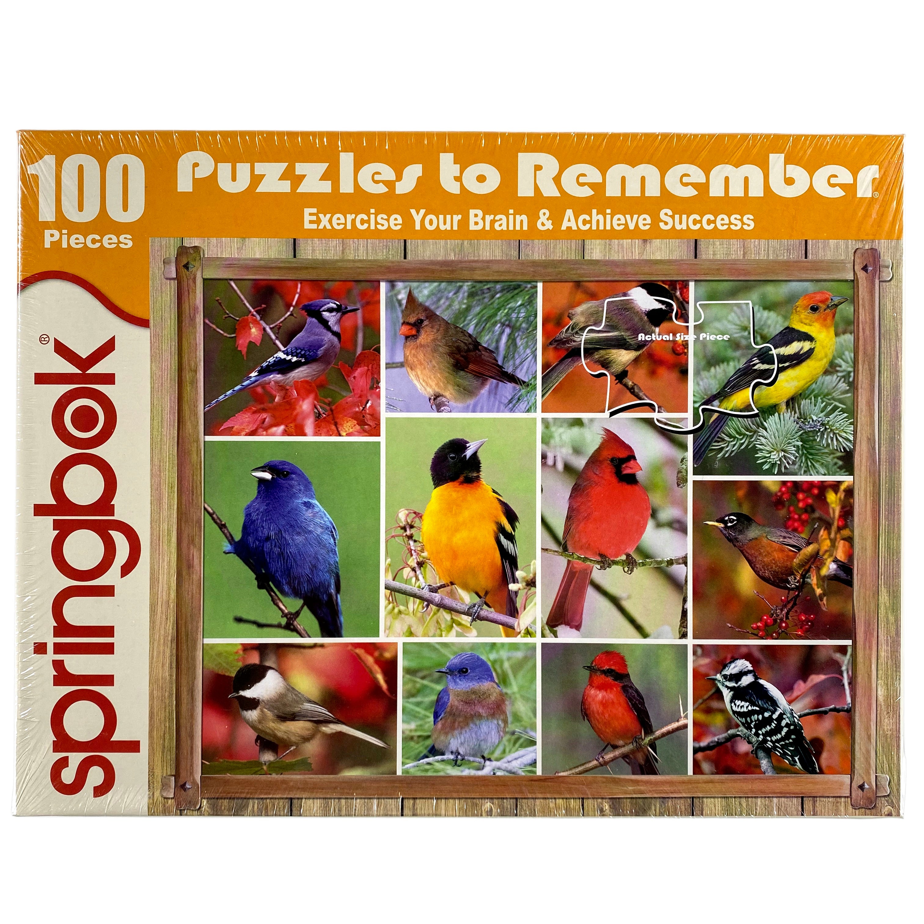 Songbirds 100 Piece Large Format Puzzles To Remember    