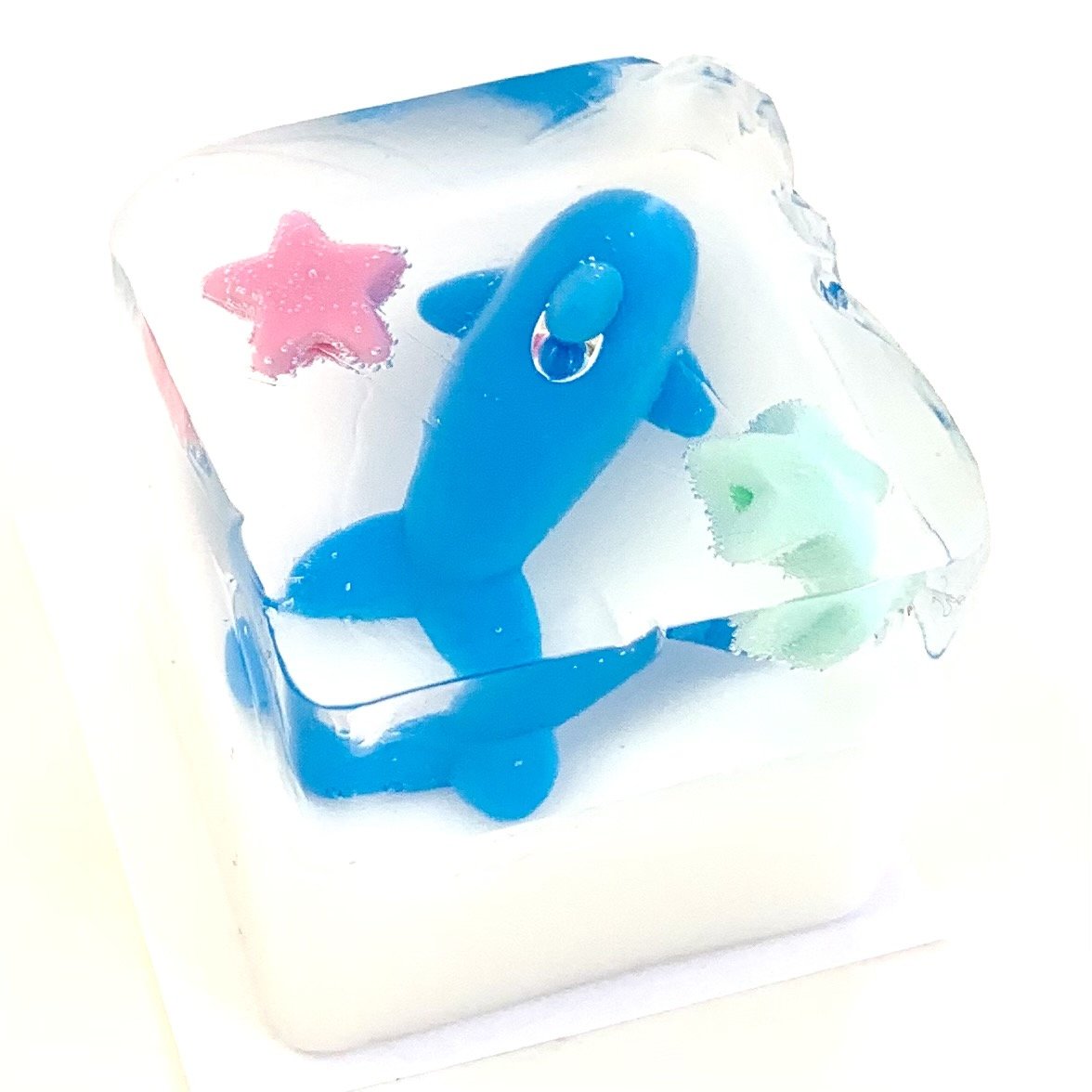 Dolphin Gummy Model - Gashapon Capsule Surprise — Bird in Hand