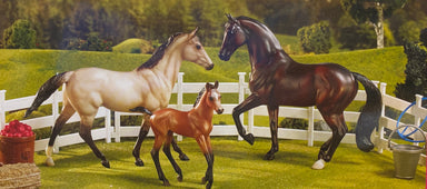 Breyer Classics Sport Horse Family    