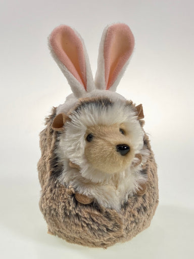Spunky Hedgehog With Bunny Ears    