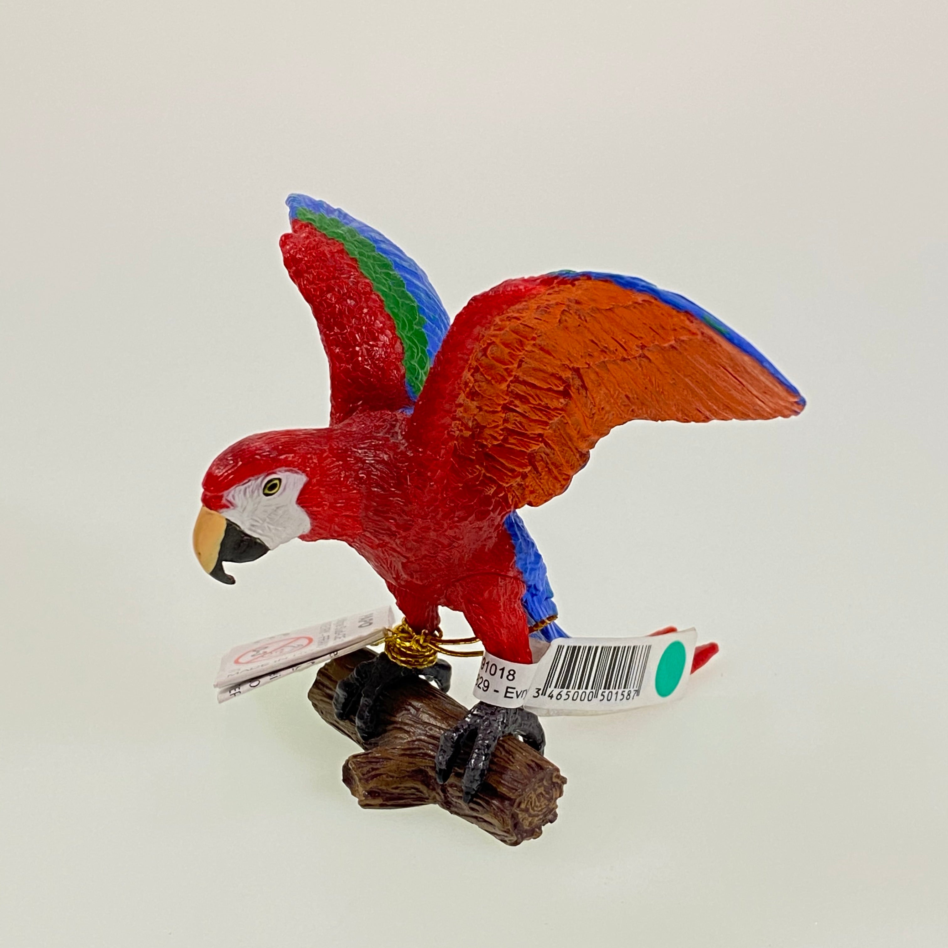 Red Macaw    