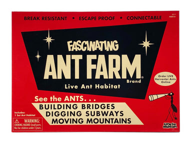 Fascinating Ant Farm - Live Ant Habitat    