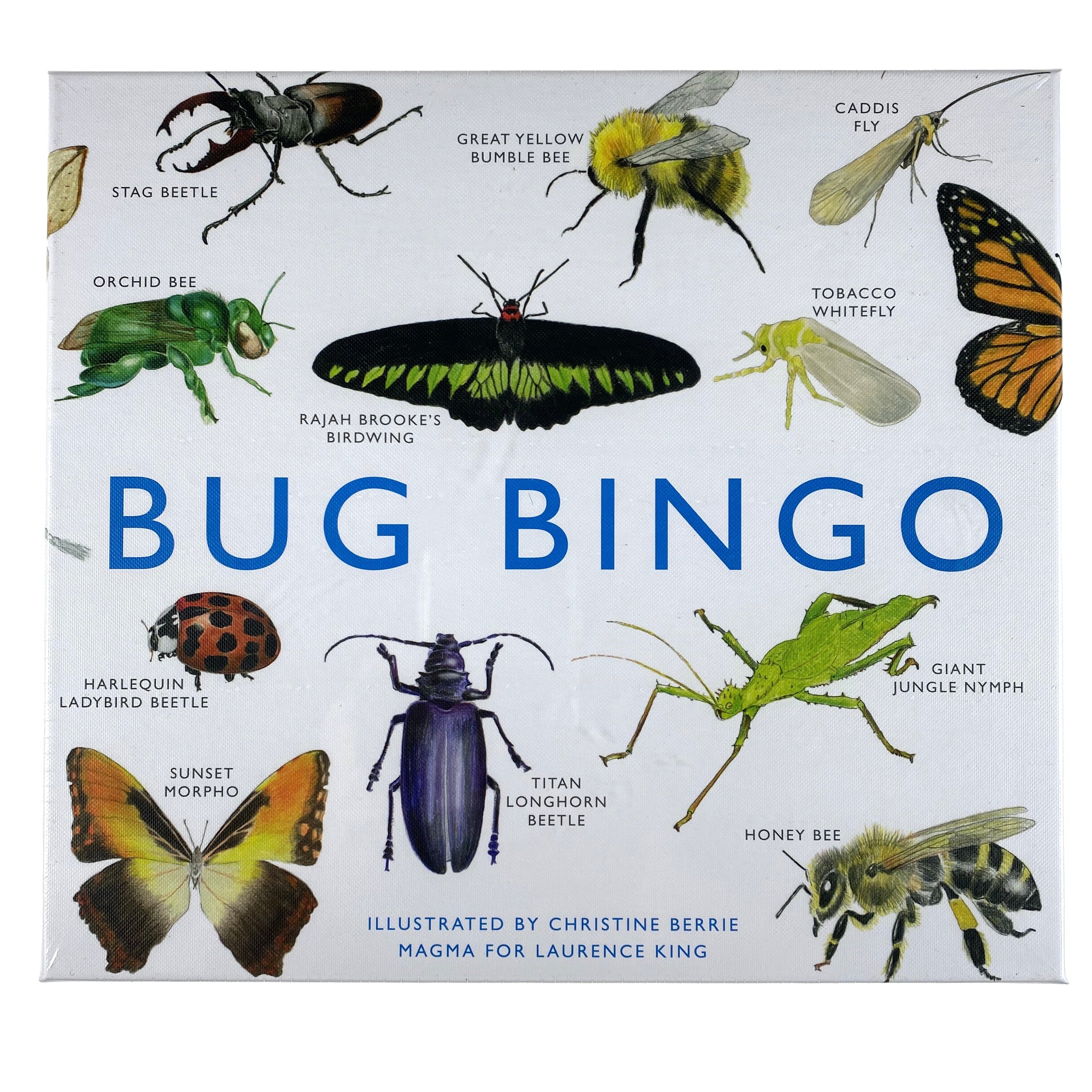 Bug Bingo    