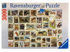 Animal Stamps 3000 Piece Puzzle    