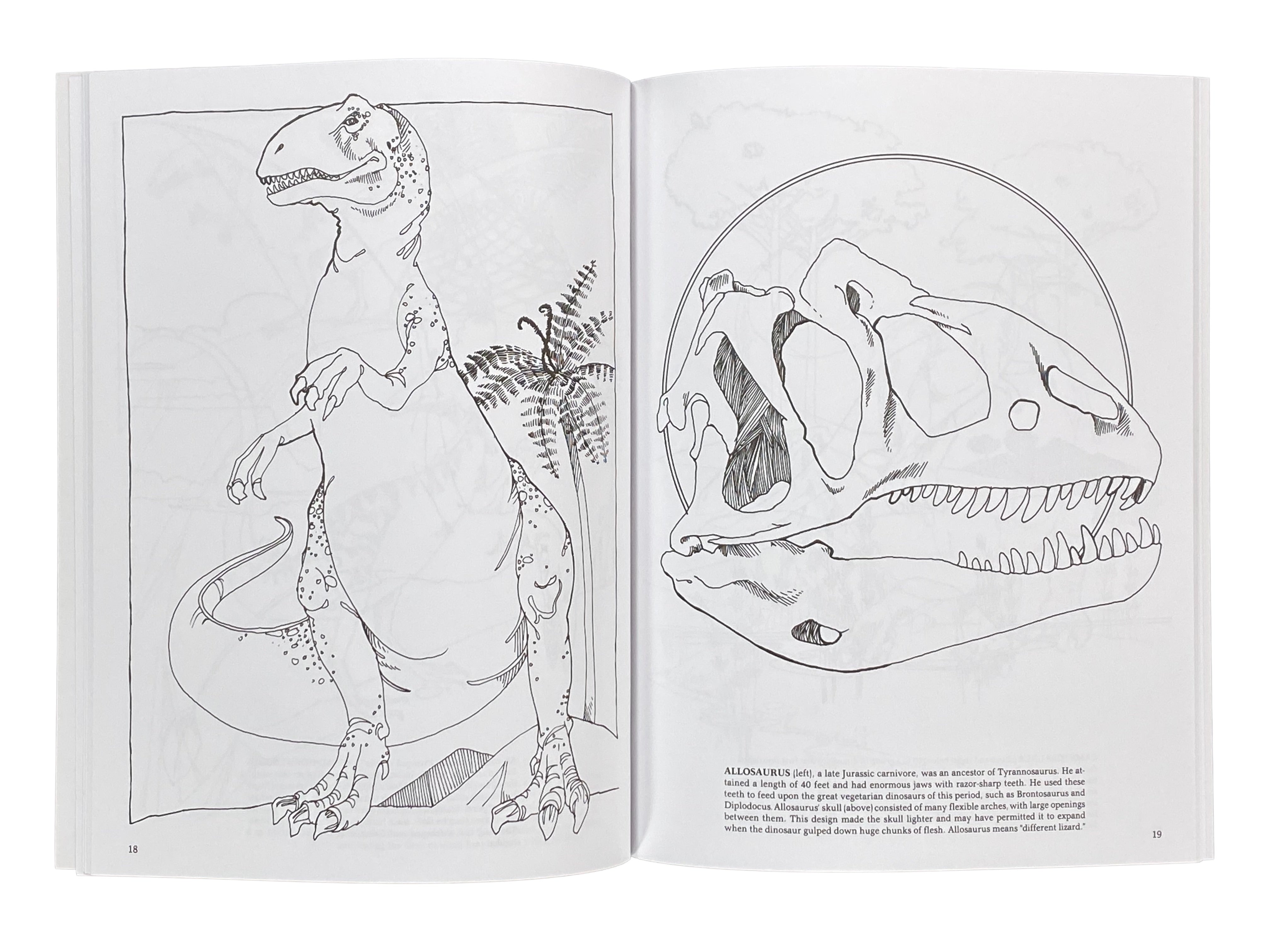 The Dinosaur Coloring Book    