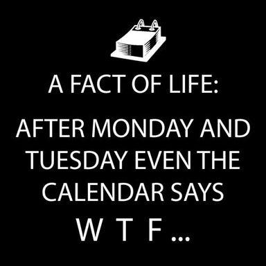 A Fact of Life: After Monday and Tuesday Even The Calendar Says WTF Cocktail Napkins    