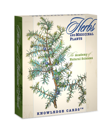 Knowledge Cards - Herbs and Medicinal Plants    