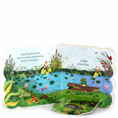 Little Green Frog Pond Lift-a-Flap Book    