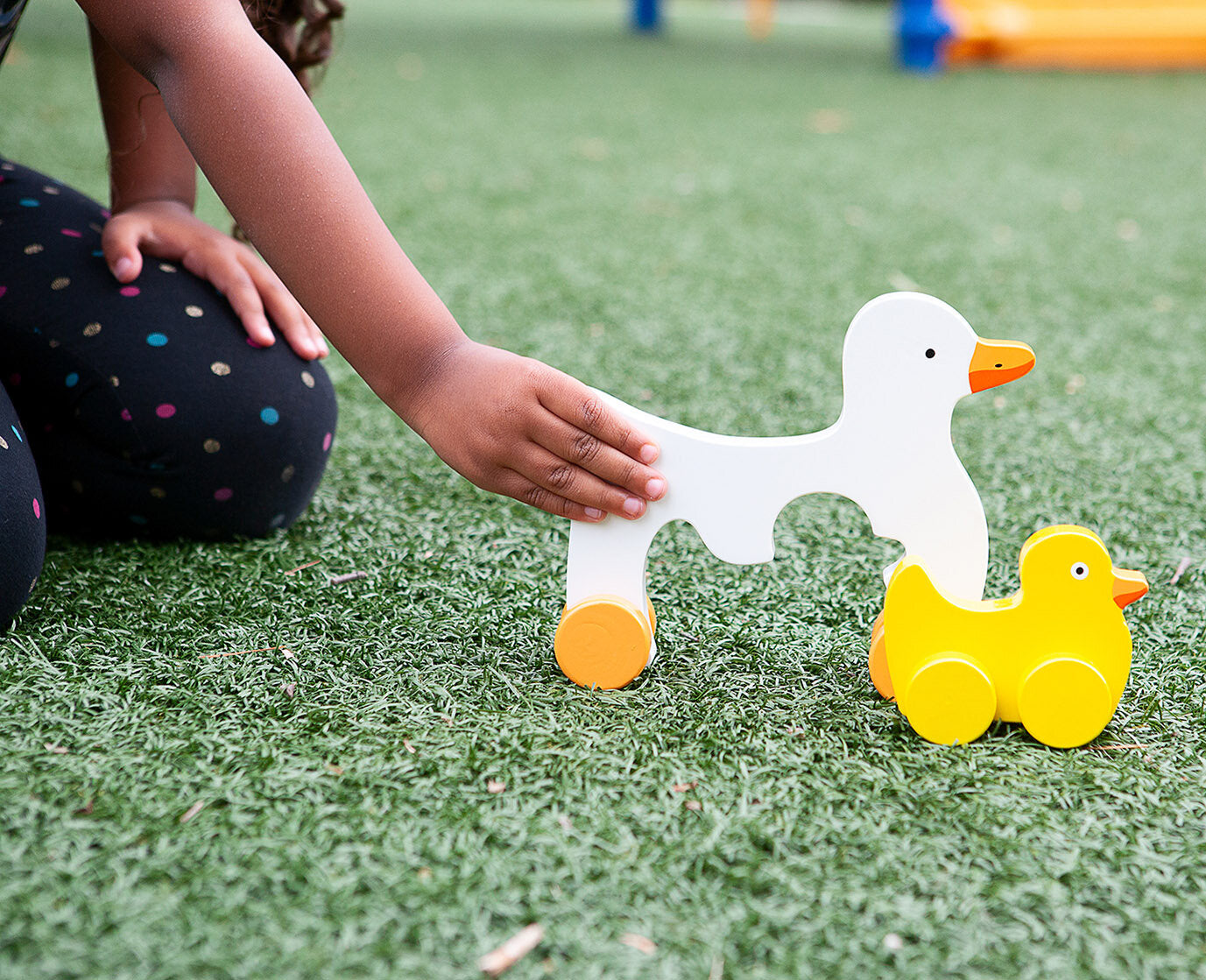 Duck Big and Little Push Toy    