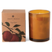 Spicy Apple Glass Botanica Candle    