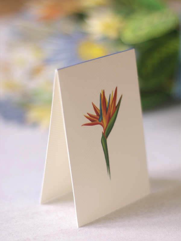 Pop Up Flower Bouquet Greeting Card - Tropical Bloom    