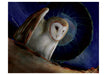 Barn Owls - Jeannine Chappell Boxed Assorted Note Cards    