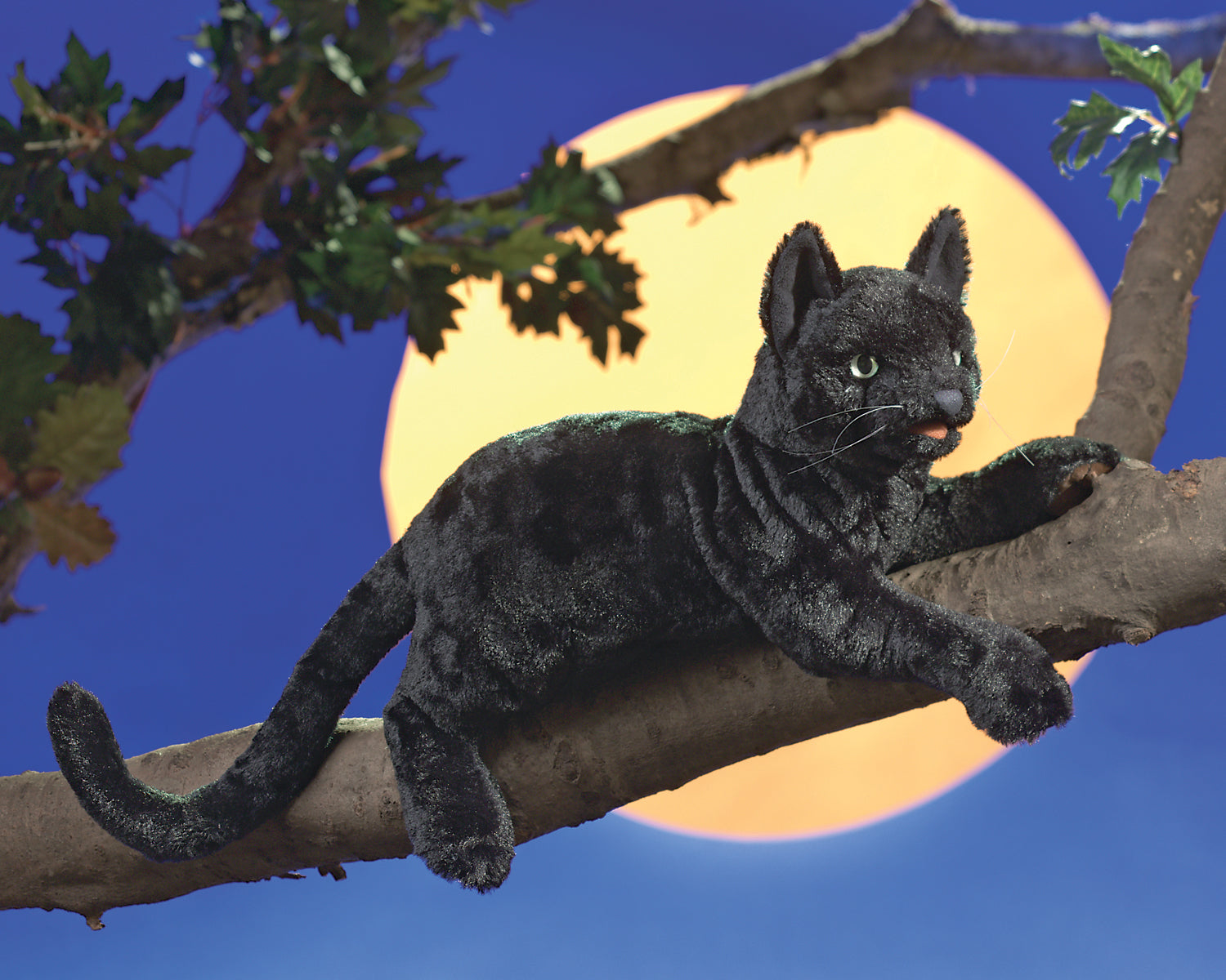 Folkmanis Puppet - Black Cat    