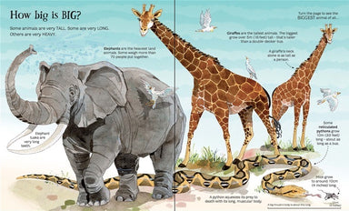 Big Book of Big Animals    
