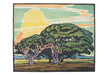 Del Monte Oaks - William S. Rice Boxed Note Cards    