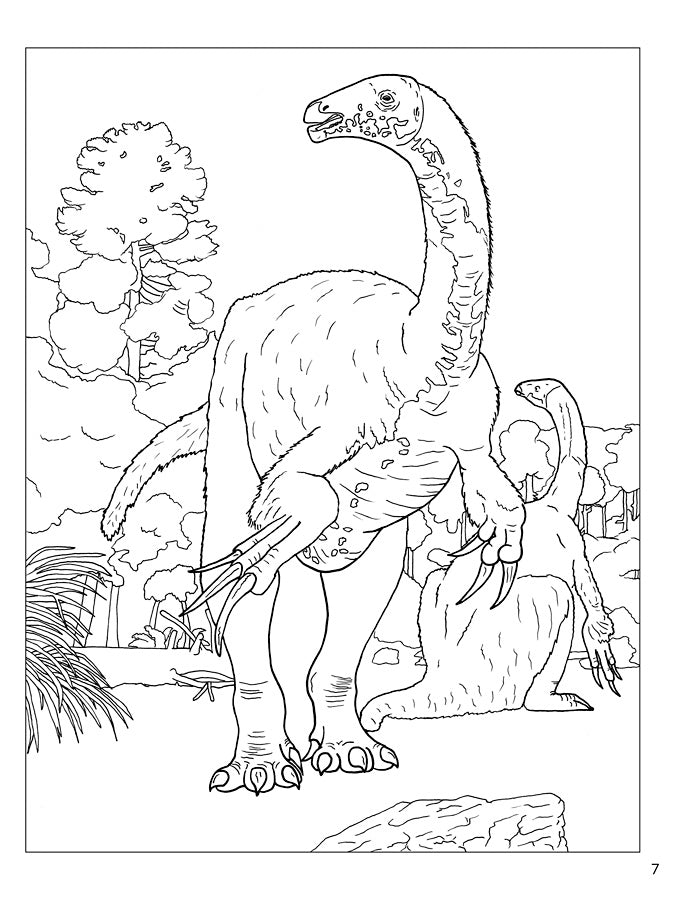 Dinosaurs Coloring Book    