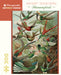 Hummingbirds - Ernst Haeckel 300 Piece Puzzle    