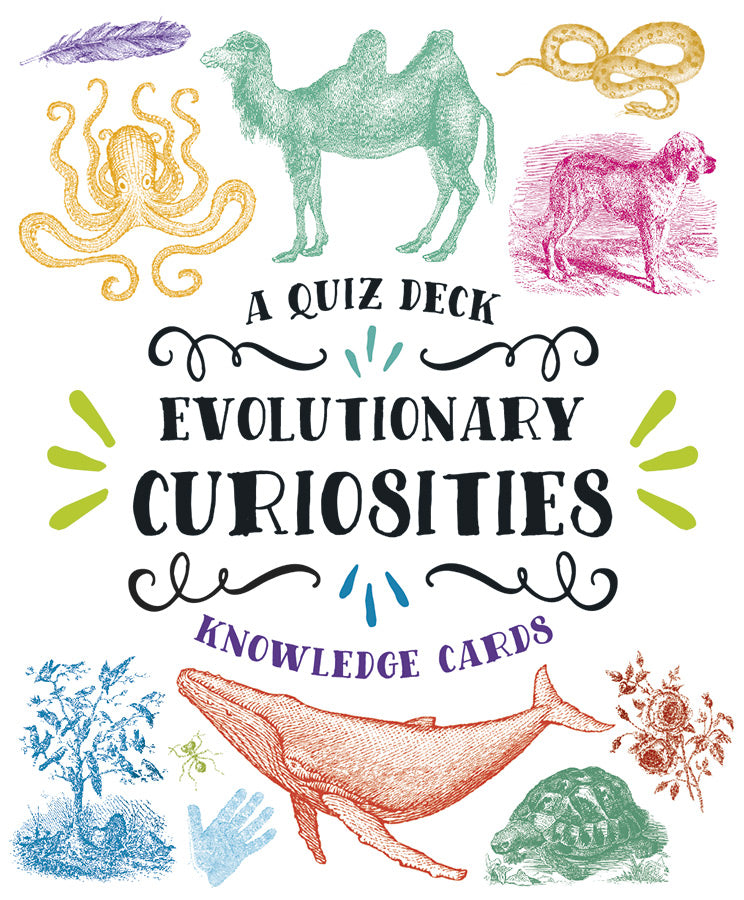 Knowledge Cards - Evolutionary Curiosities    