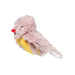 Chirping Songbird Crinkle Toy    