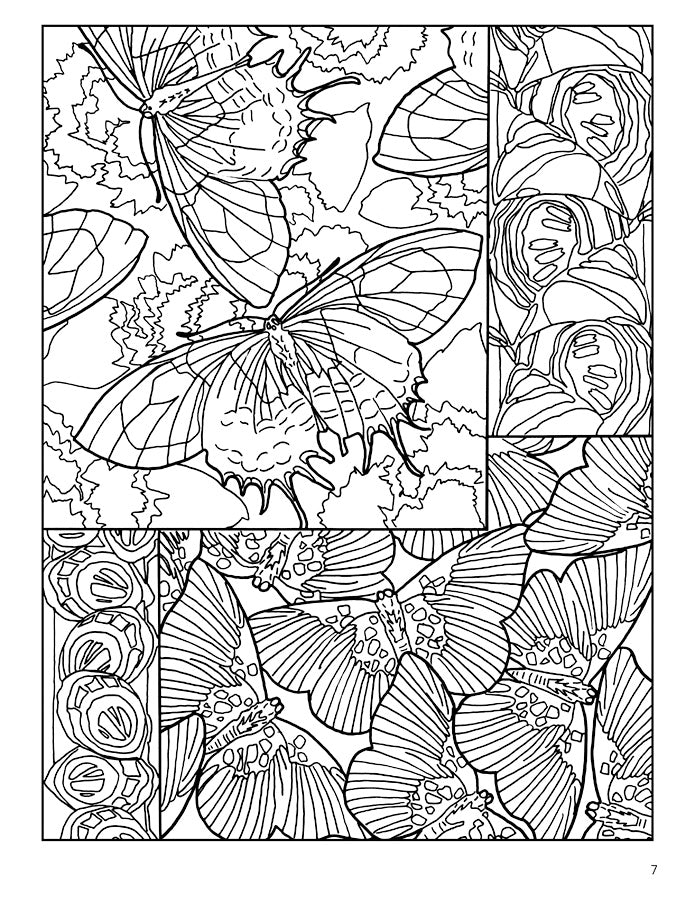 French Decorative Designs Coloring Book    