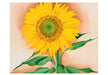 A Sunflower From Maggie - Georgia O'Keeffe Boxed Note Cards    