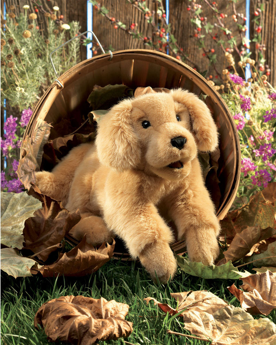 Folkmanis Puppet - Golden Retriever Puppy    