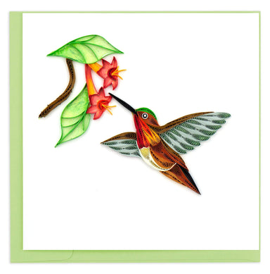 Rufous Hummingbird - Blank Quilling Card    