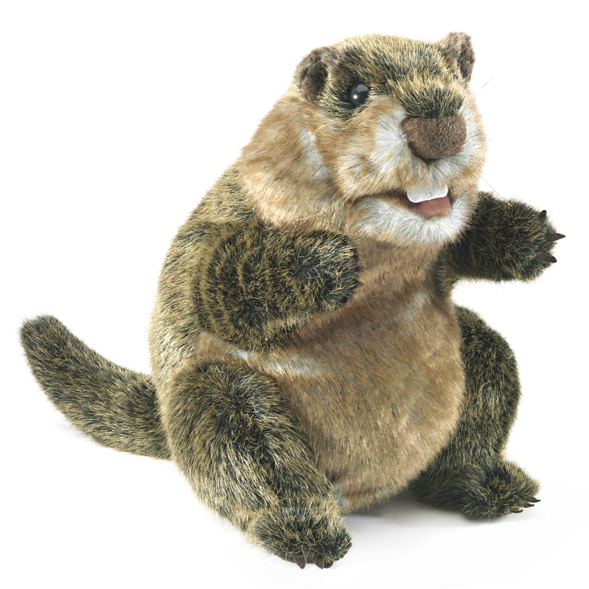 Folkmanis Puppet - Groundhog    