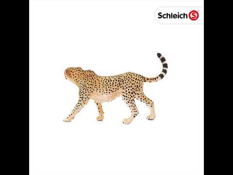 Schleich Female Cheetah — Bird in Hand - Main Image