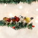 Old World Christmas - Mini Songbirds Assorted Clip On Ornament    