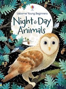 Night & Day Animals - Usborne Young Beginners    