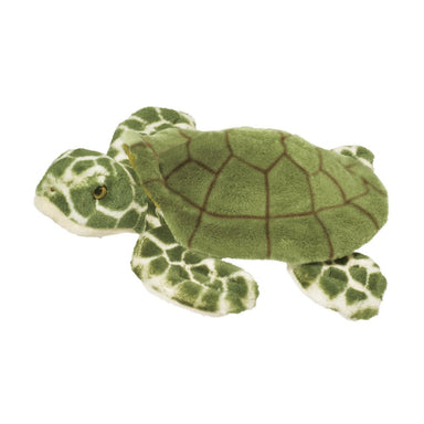 Toti Turtle    