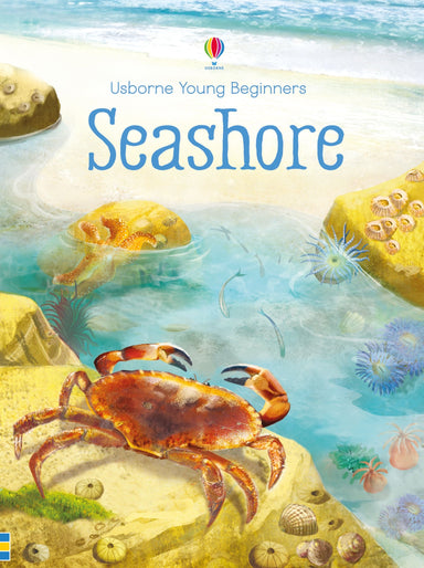 Seashore - Usborne Young Beginners    