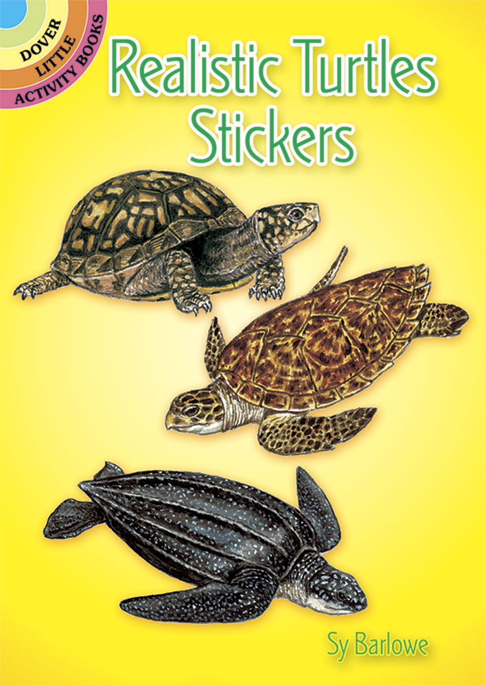 Realistic Turtles Stickers - Little Activity Book    